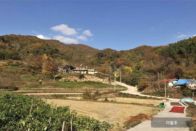 전라남도 장흥군 유치면 조양리 한치(인암)마을